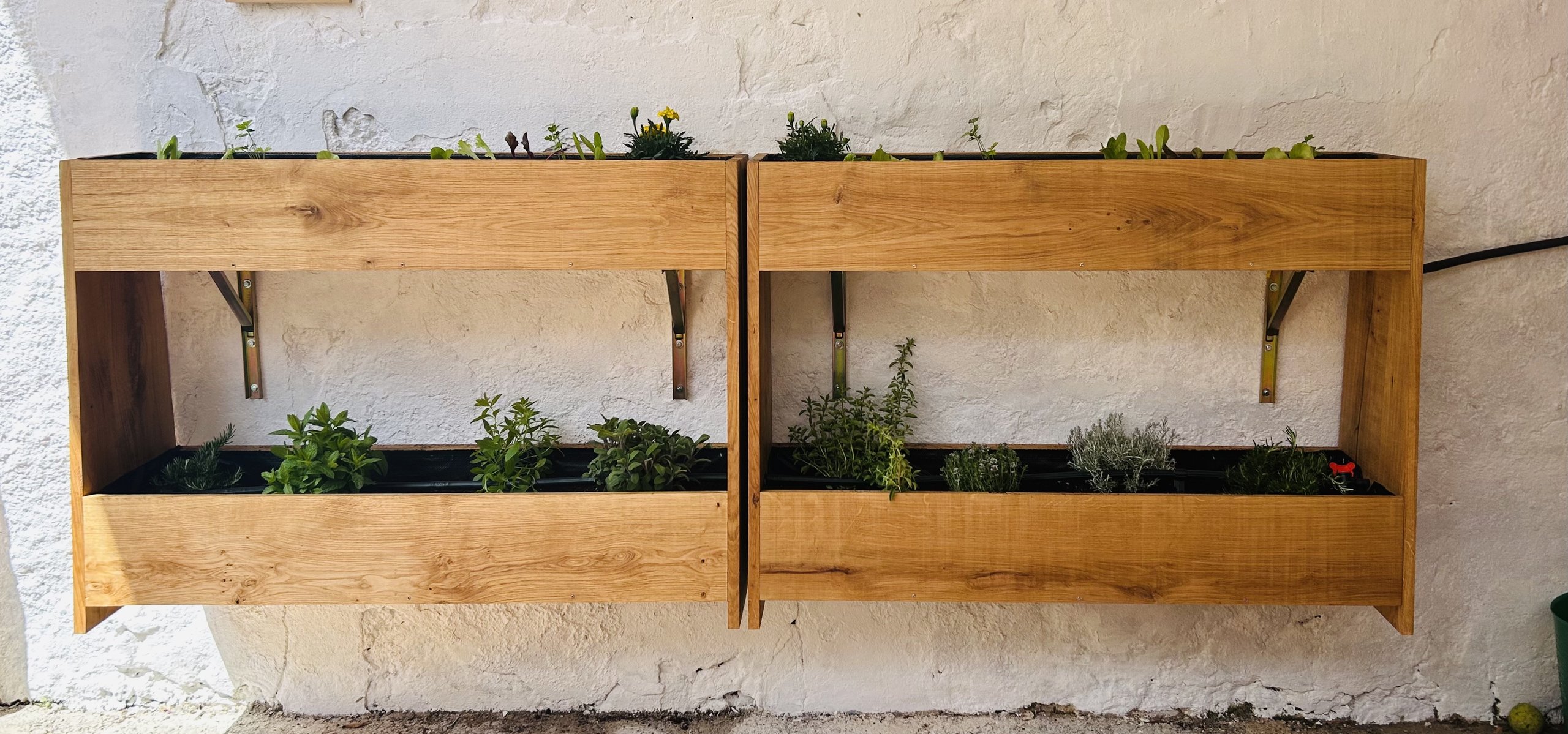 Two wall-mounted oak planters with herbs, on a co-working courtyard wall in Sitges