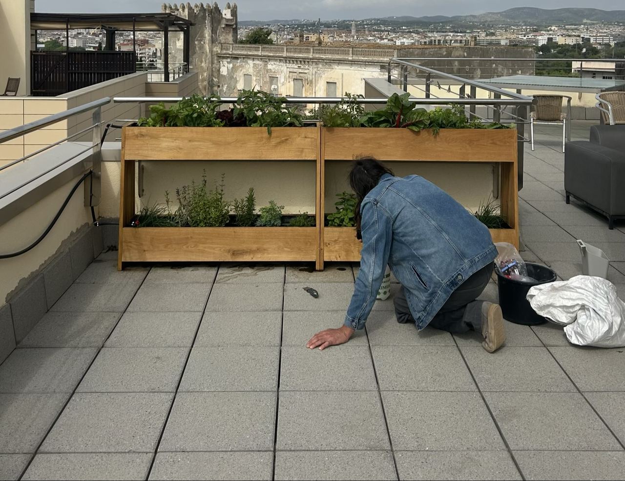 Monthly specialist visit — caring for the balcony garden