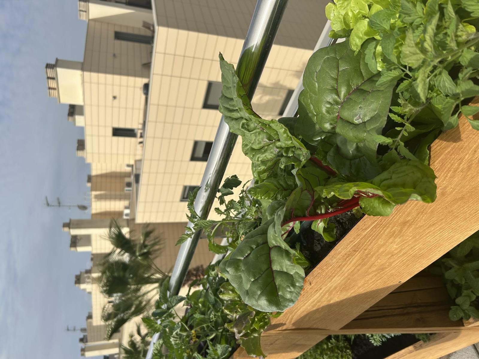 Planted unit, mid-season — abundant edibles and herbs